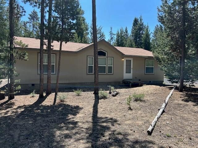 11736 Chinquapin