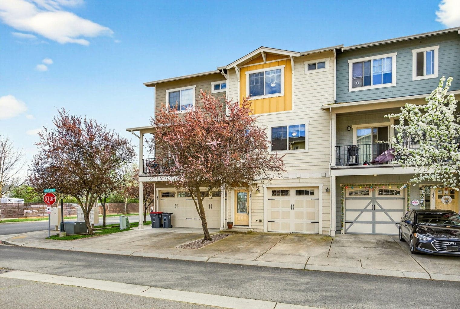 221 Cherry Bark