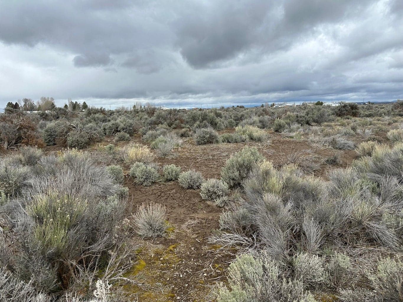 0 Bark, Christmas Valley, 97641
