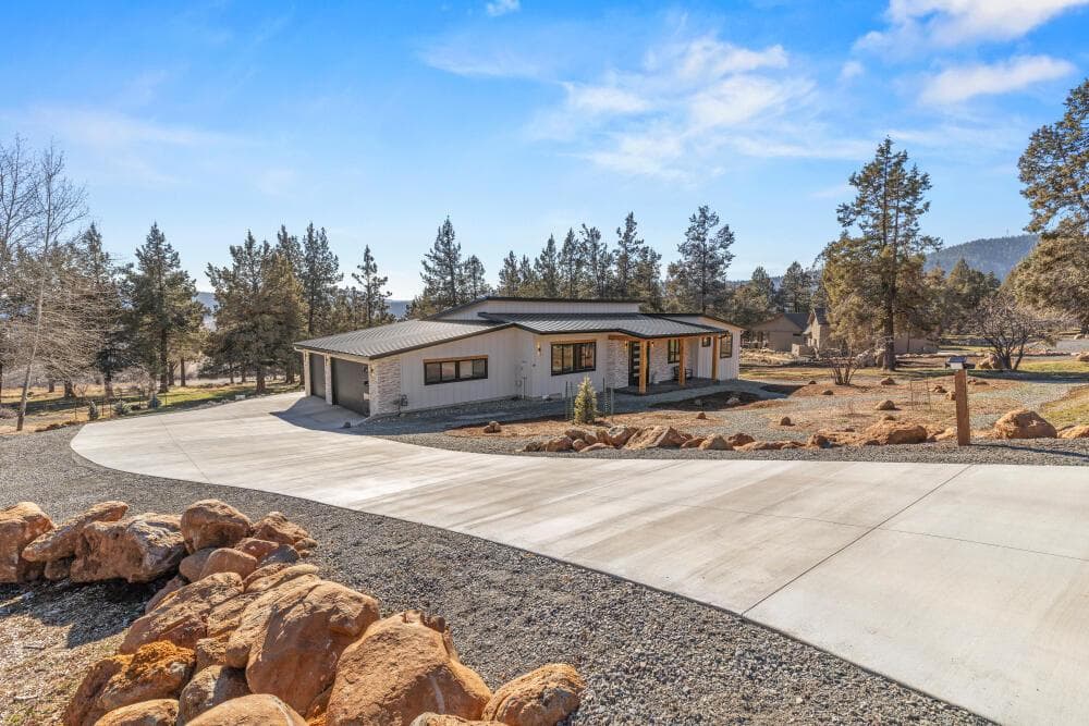 12156 Turnstone