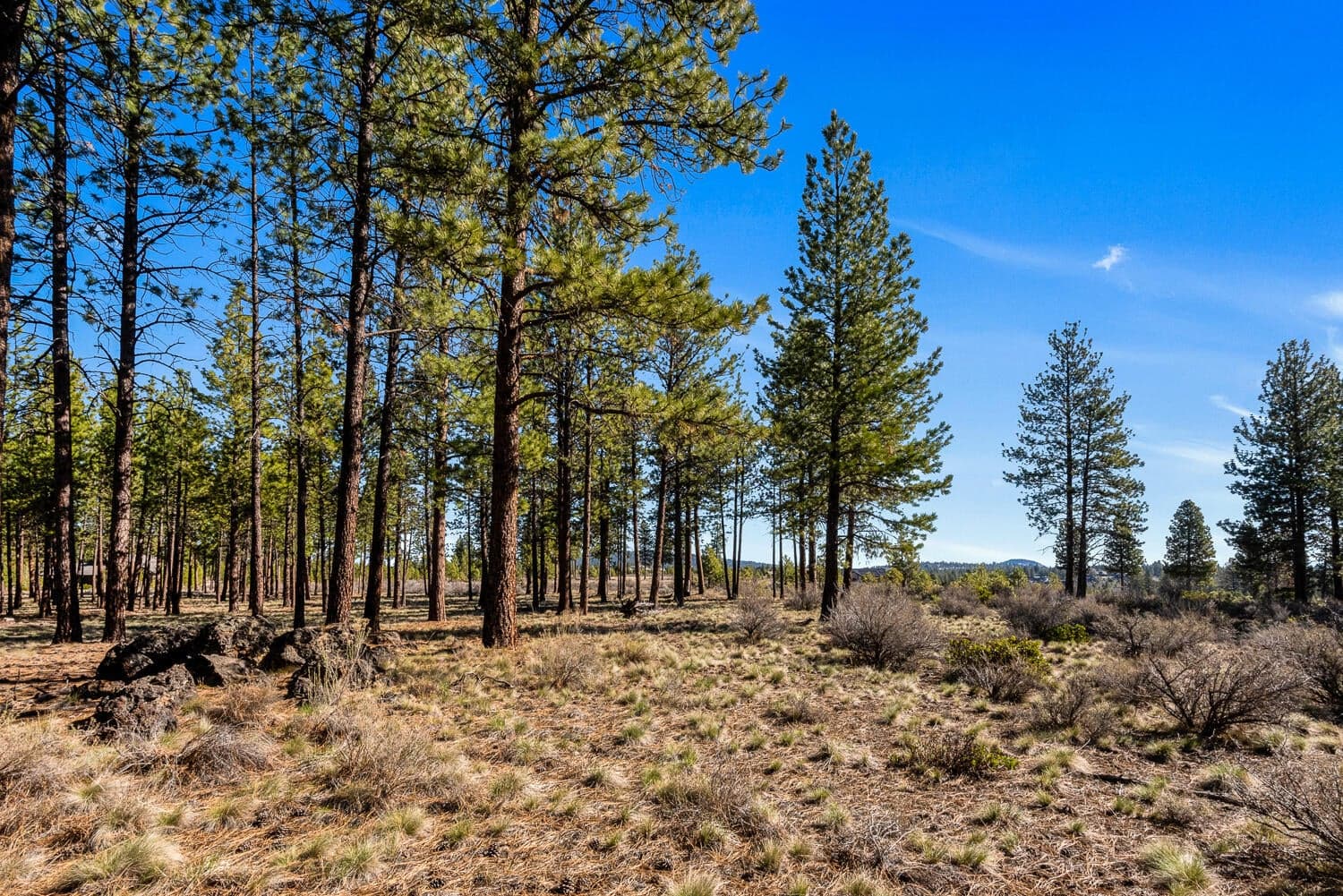 18862 Sutherland, Bend, OR, 97702 property photo