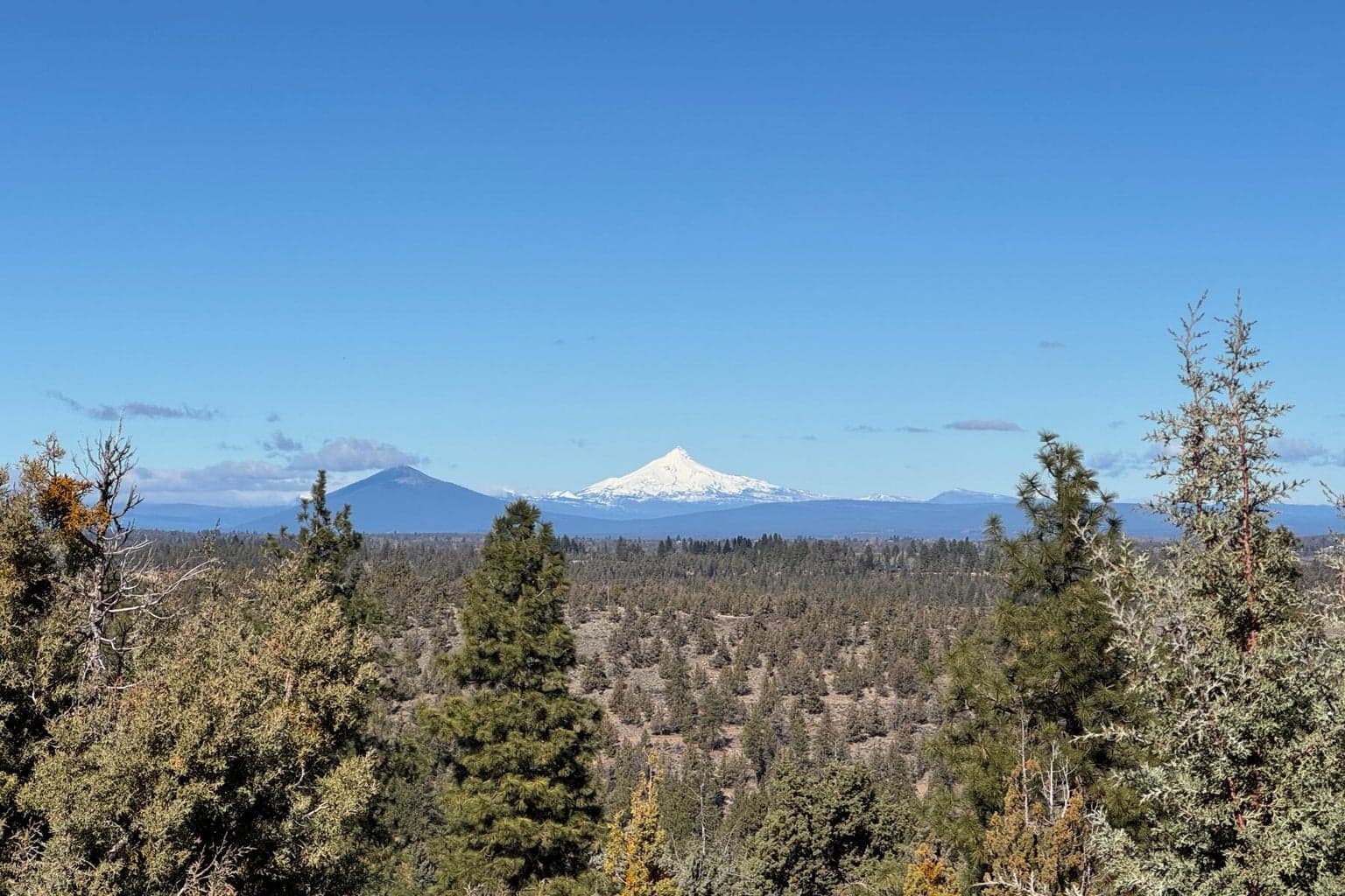 1560 Wild Rye, Bend, OR, 97703 property photo