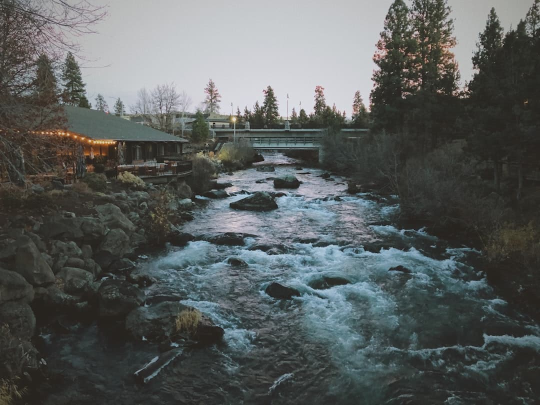 Skyline in Bend, Oregon.