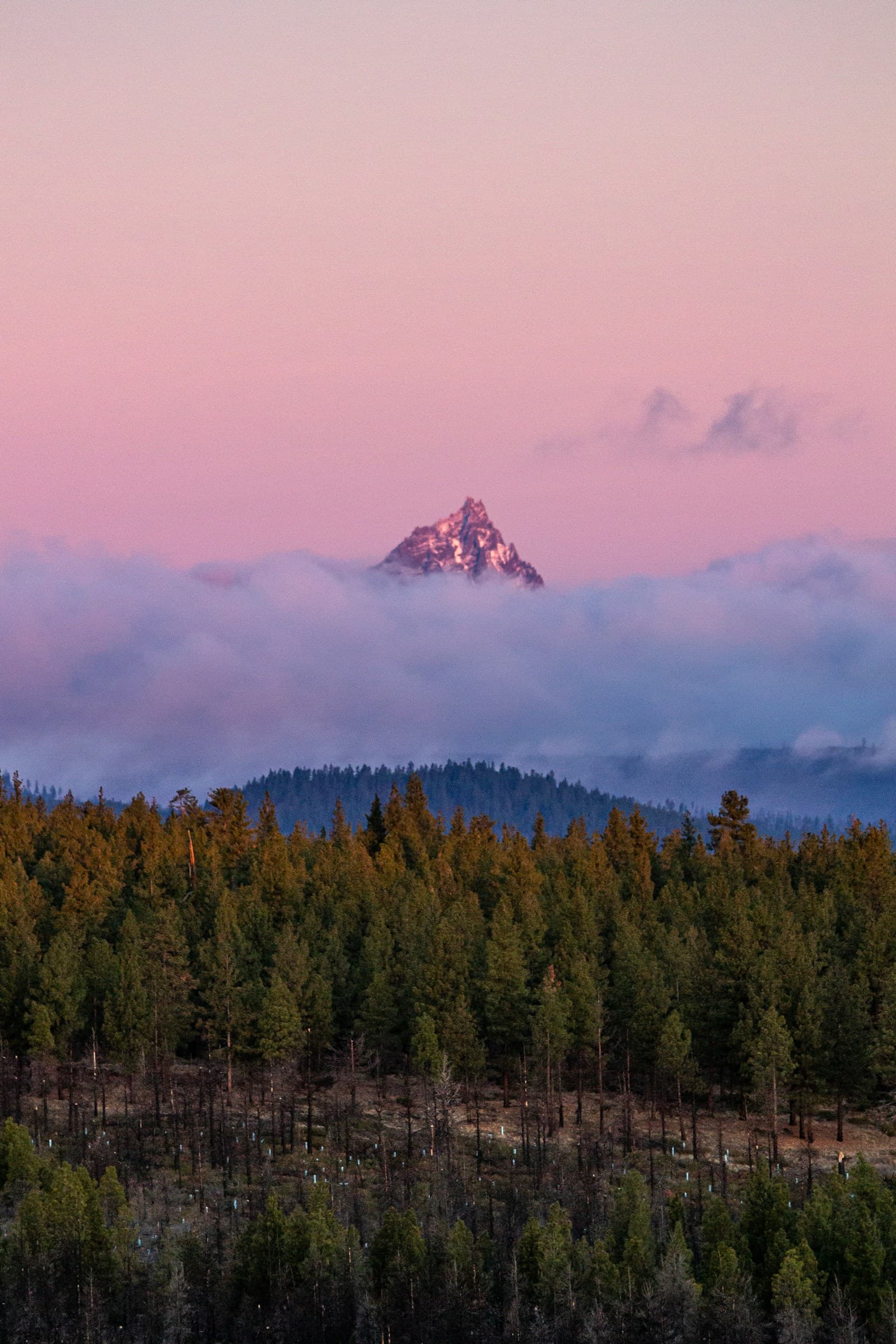 Singing Pines in La Pine, Oregon.