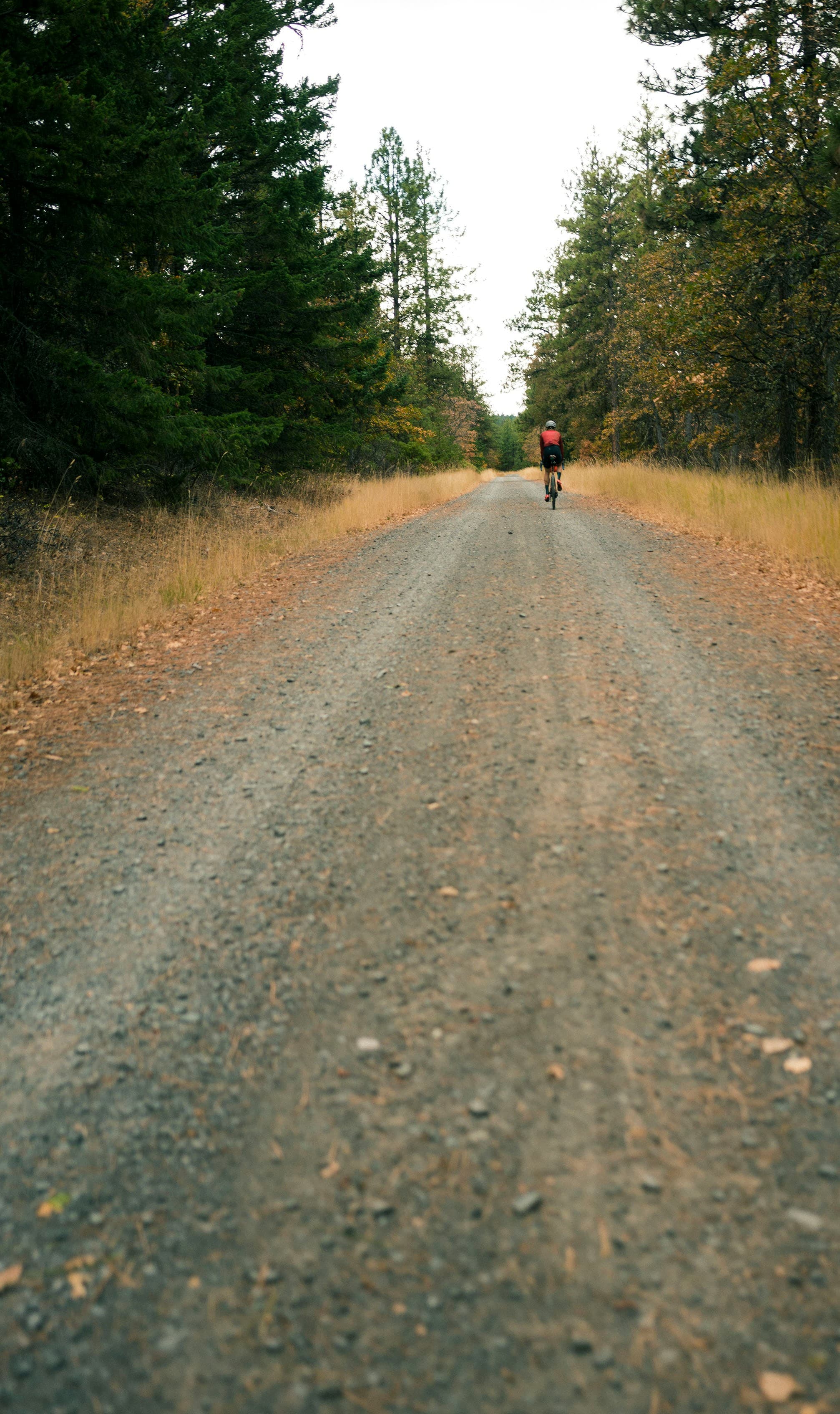 Forest View in La Pine, Oregon.