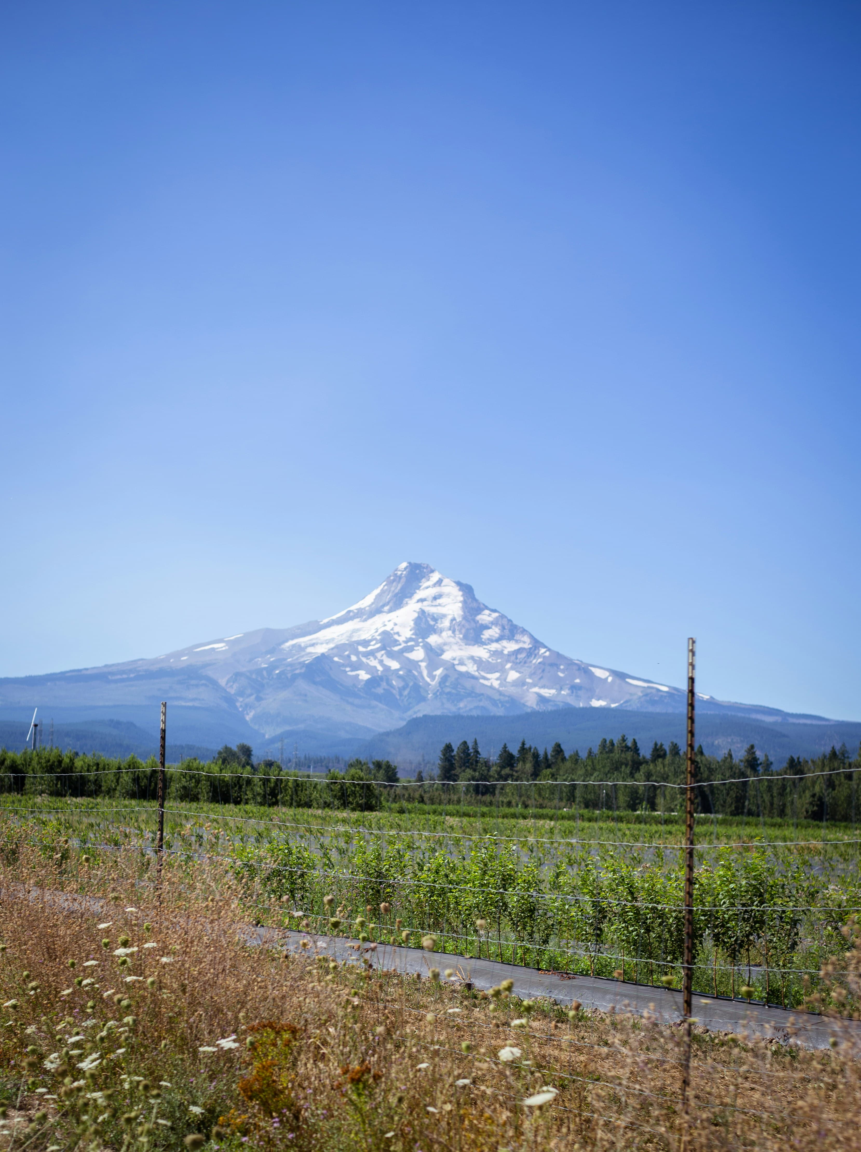 Vibberts in Madras, Oregon.
