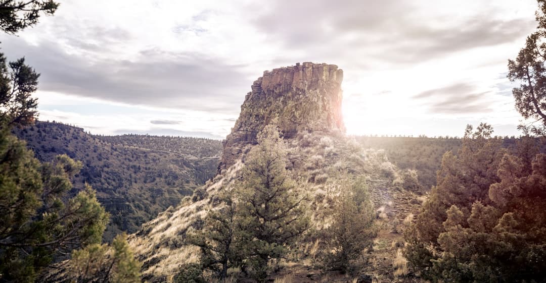 Los Pinos in La Pine, Oregon.