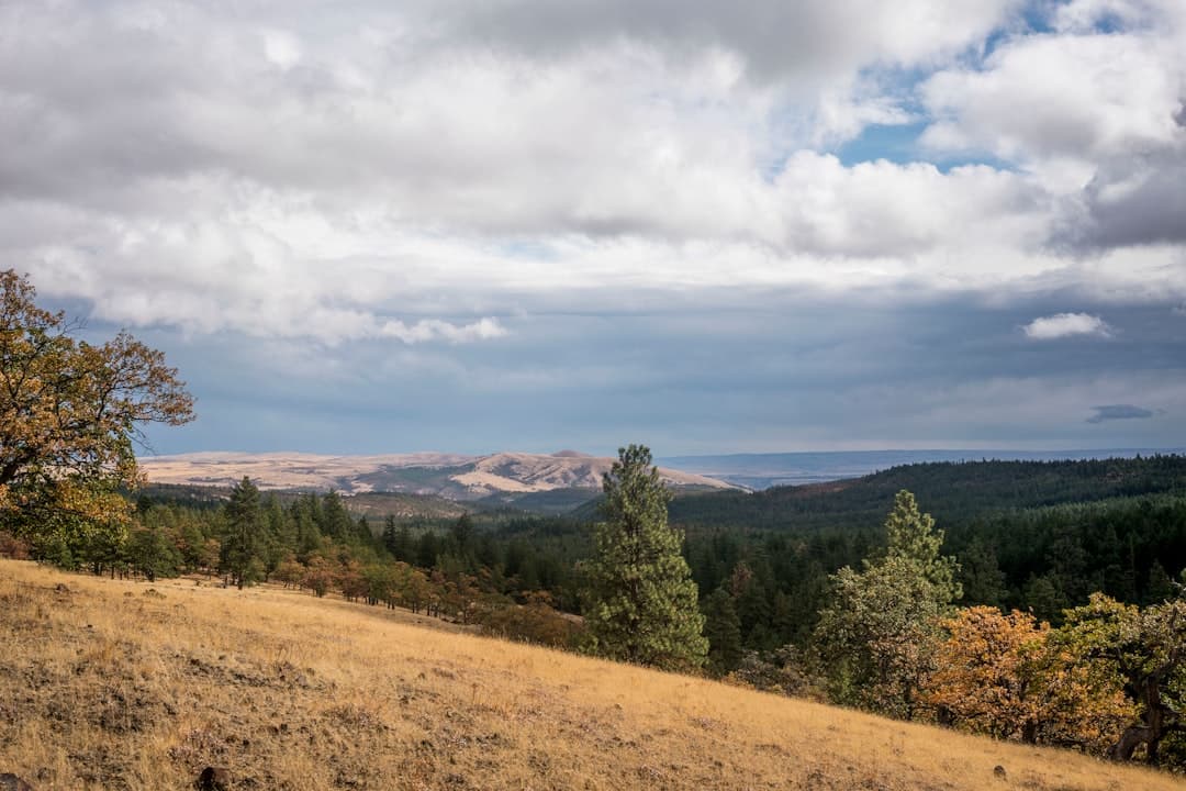 Pronghorn community in Bend