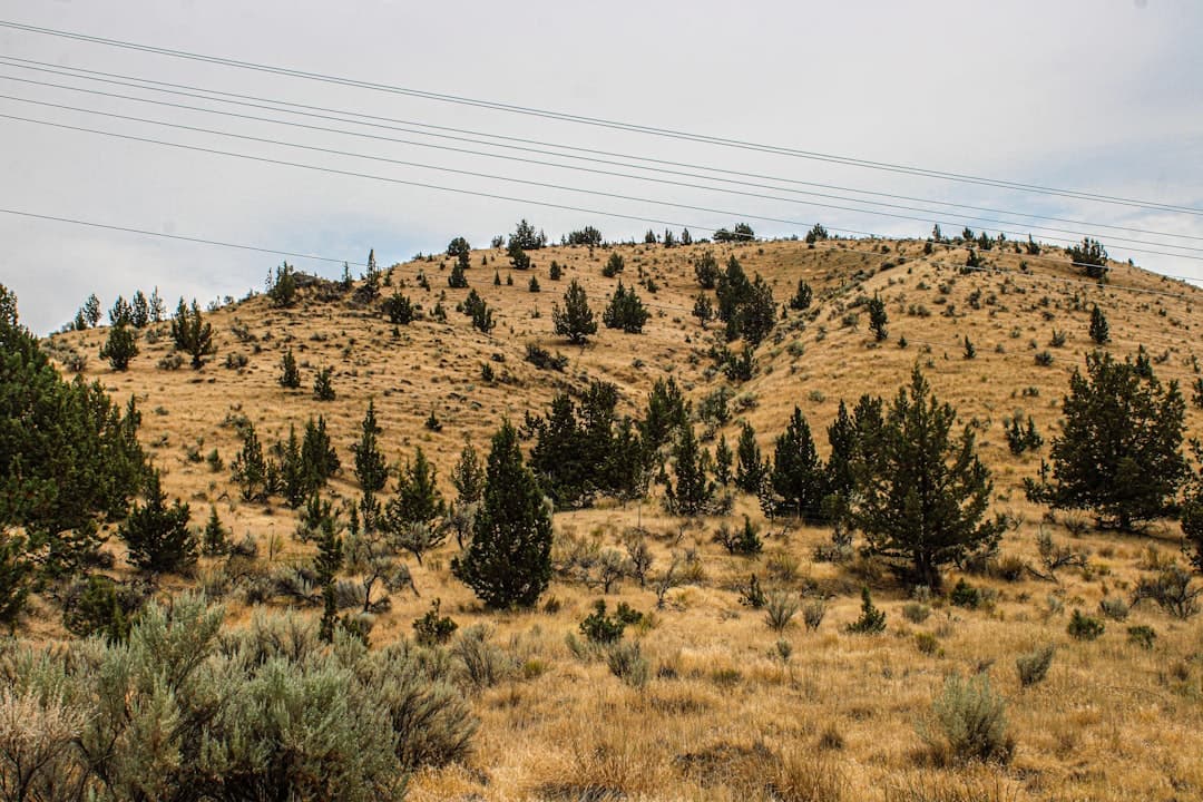 Out of Area - See Remarks community in La Pine